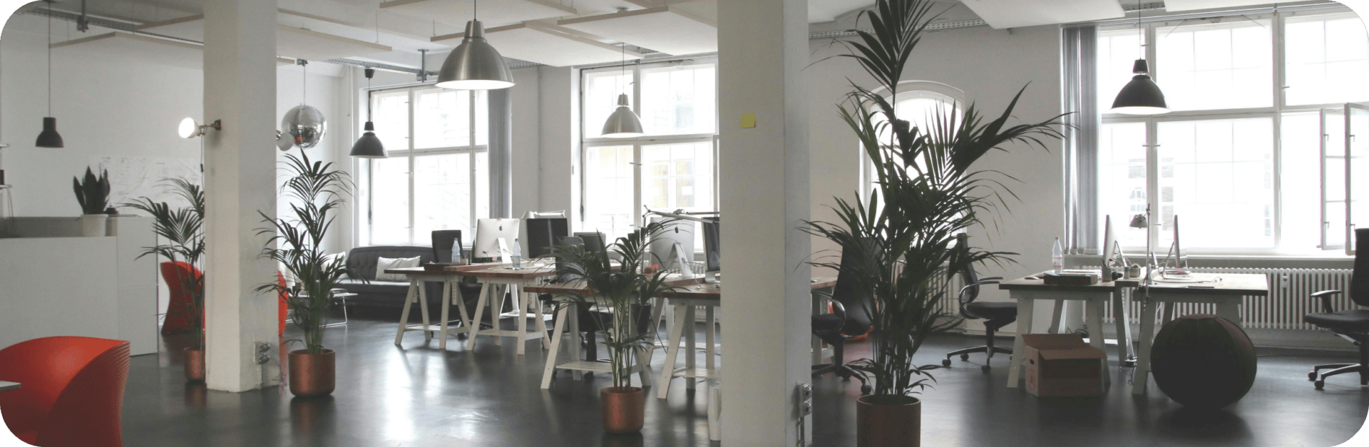 Our Office